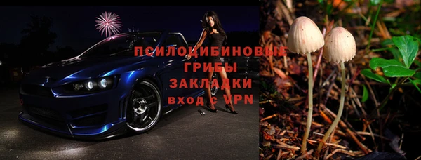 дживик Богданович