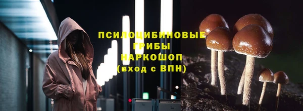 синтетический гашиш Богородск