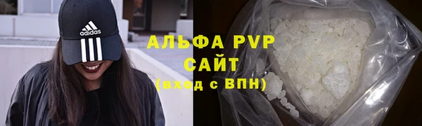 дживик Богданович