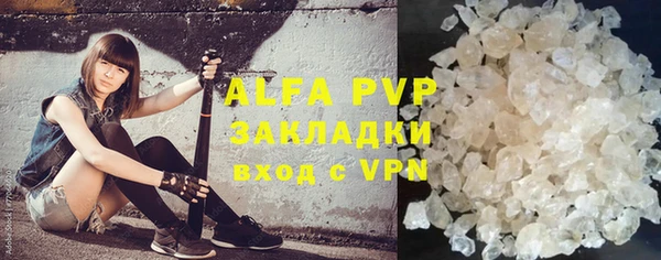 дживик Богданович